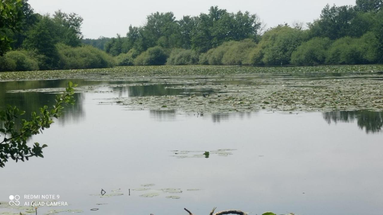 Maison De Ferme Au Calme Jusqu'A 10 Personnes Gannay-sur-Loire 外观 照片
